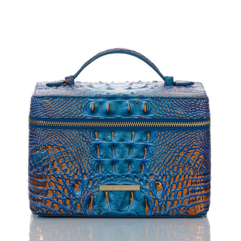 Brahmin Charmaine Vanity Bag